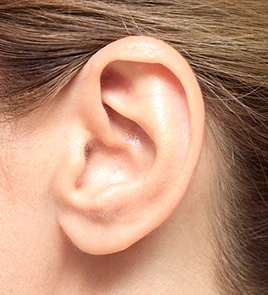 Ear Procedures